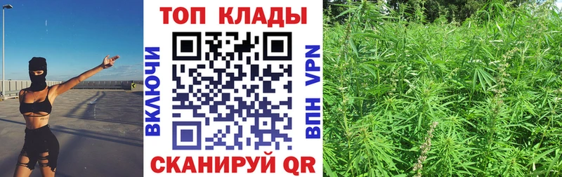 Бошки Шишки Урюпинск