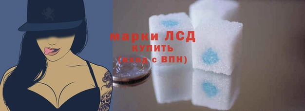 кокс Аркадак